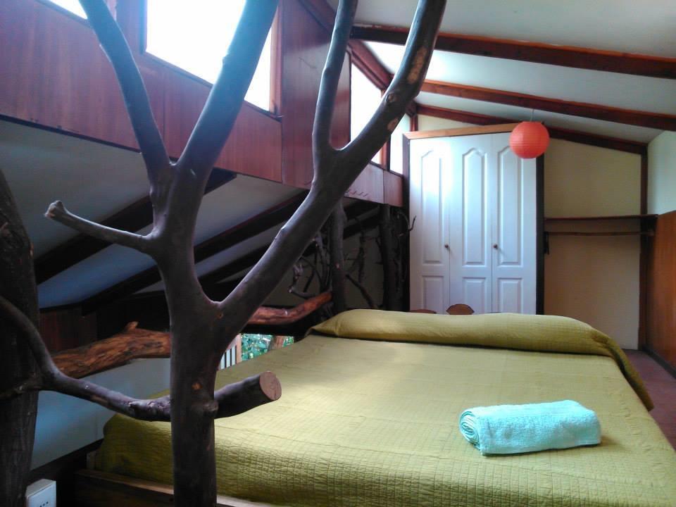 Cabanas Moenga อังกาโรอา ห้อง รูปภาพ