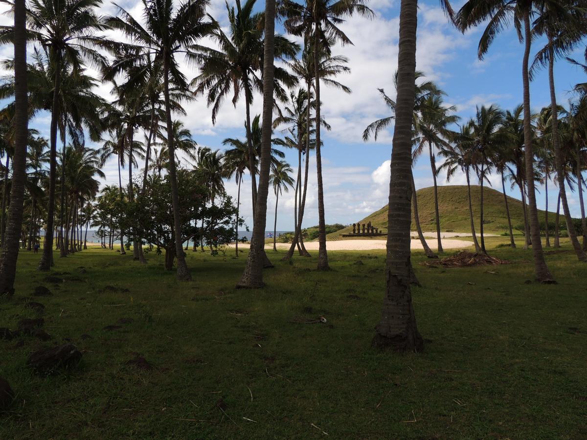 Cabanas Moenga อังกาโรอา ภายนอก รูปภาพ