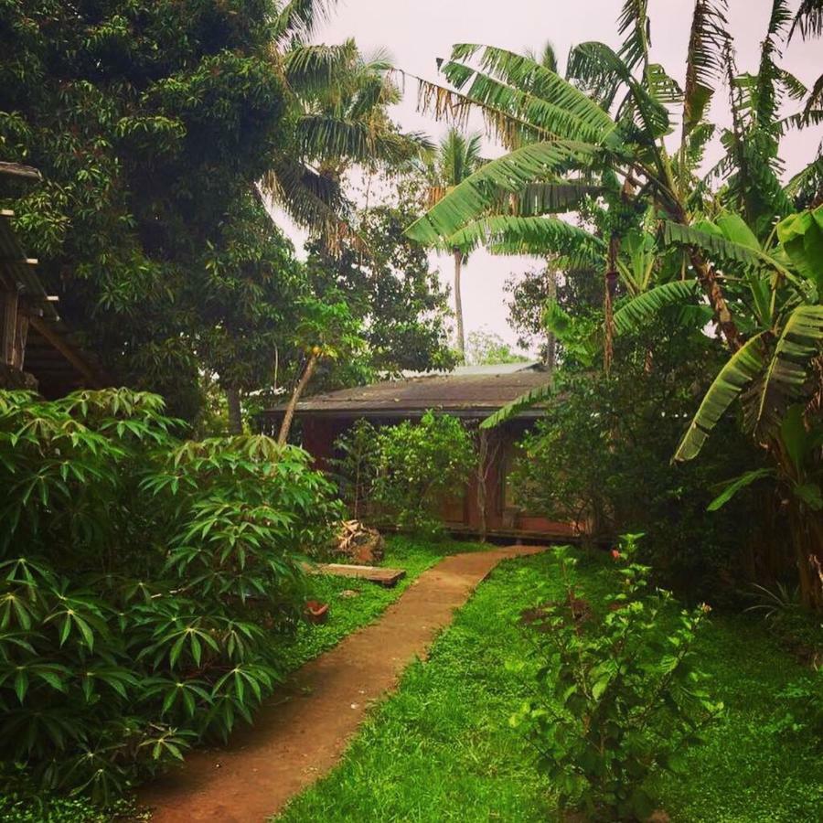 Cabanas Moenga อังกาโรอา ภายนอก รูปภาพ